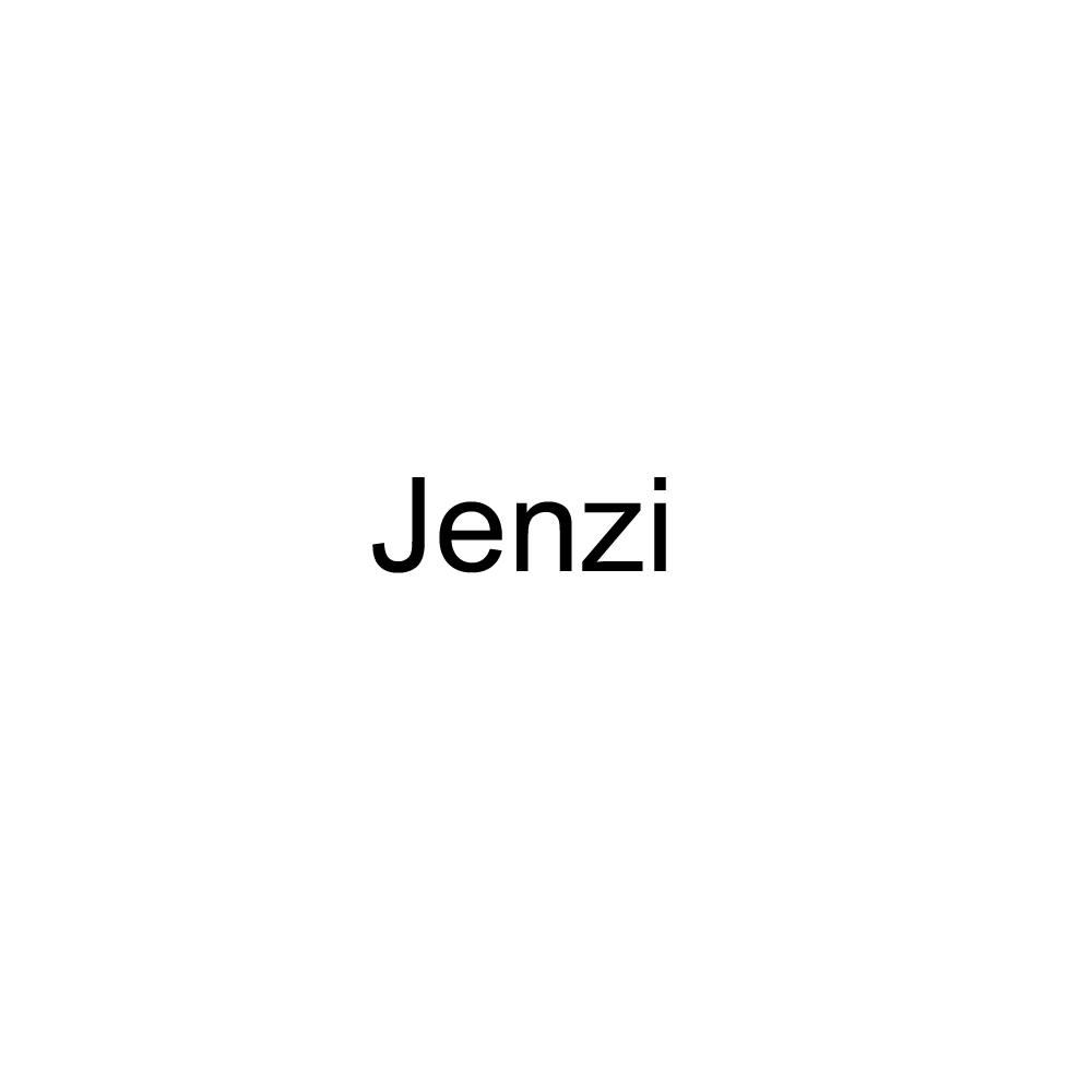 Jenzi