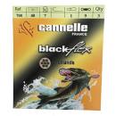 Cannelle BlackFlex 40 cm Stahlvorfach 1x7  - 5 kg / 40 cm