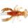 Relax Baby Crawfish 1" (4,5cm) goldperl-motoroil-gl.
