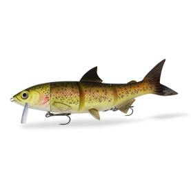 RenkyOne - Hybrid Fishing Lure 10" 25cm slow sinking  Trout Costume - 1 Stück