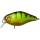 PERCH