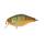 AGRESSIVE PERCH